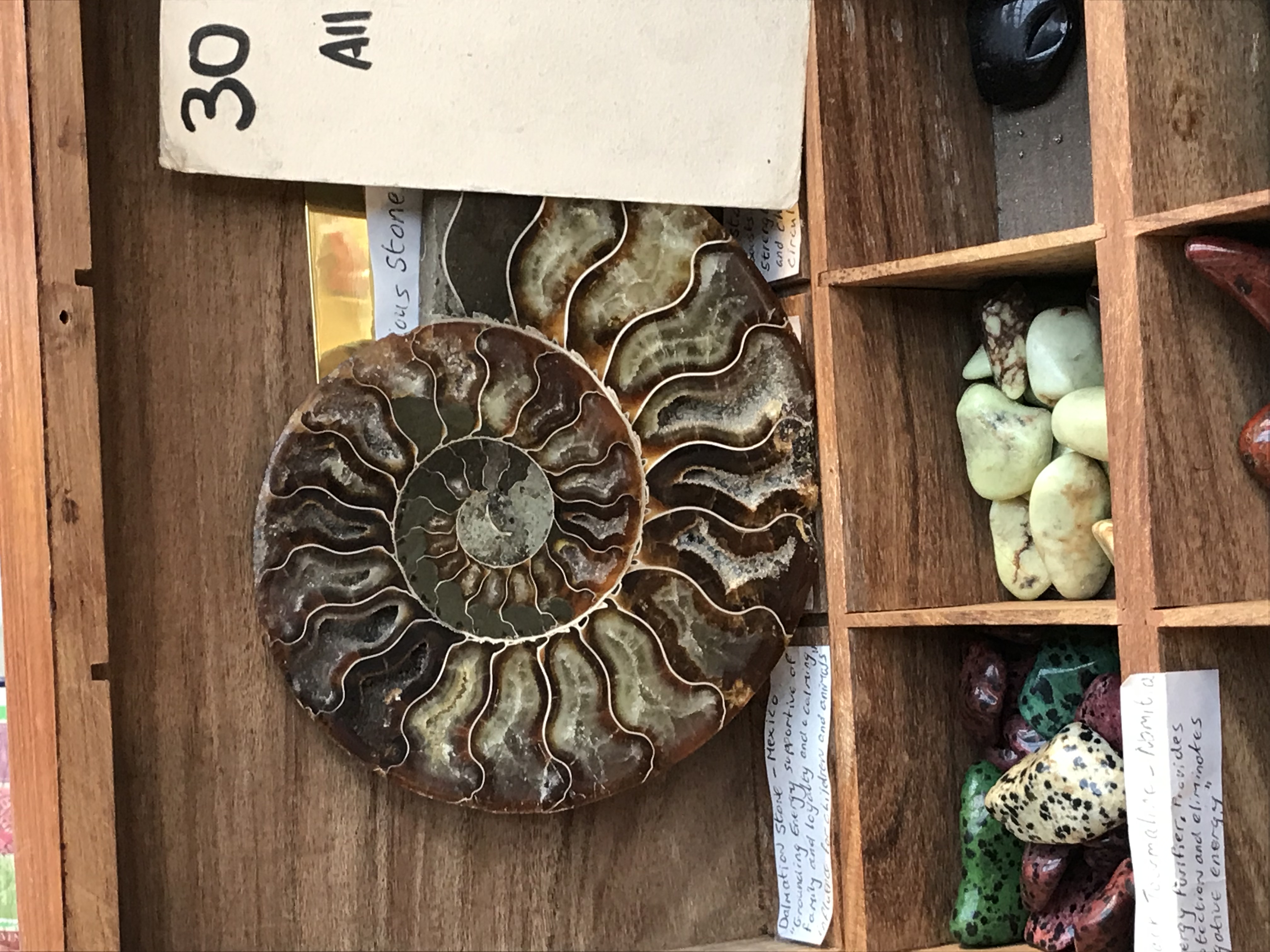 ./2018/15 - London/02 - Day 2/IMG_8415.jpg